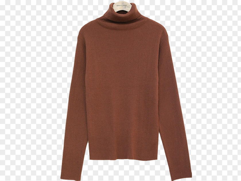 Common Turtle Sweater Shoulder Wool PNG