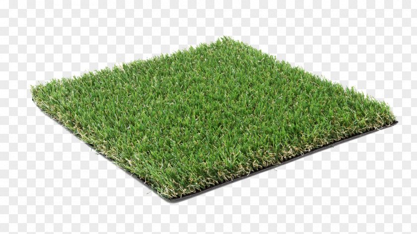 Magnolia Artificial Turf Trulawn Carpet Thatch PNG