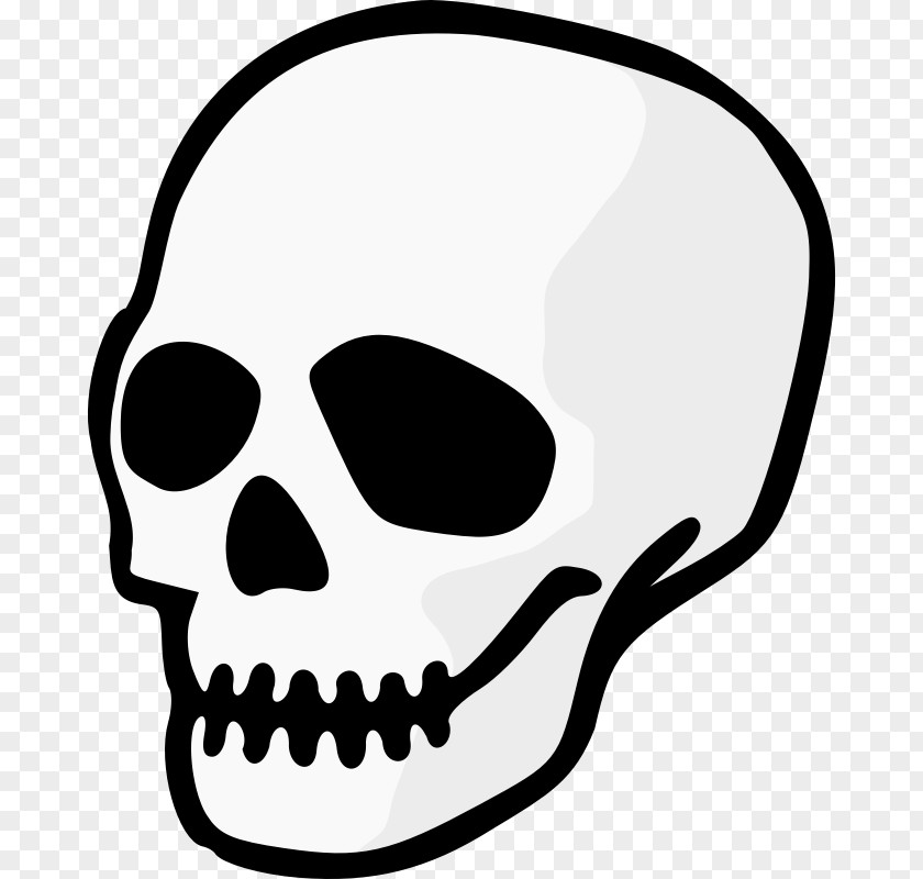 Skull Clip Art PNG