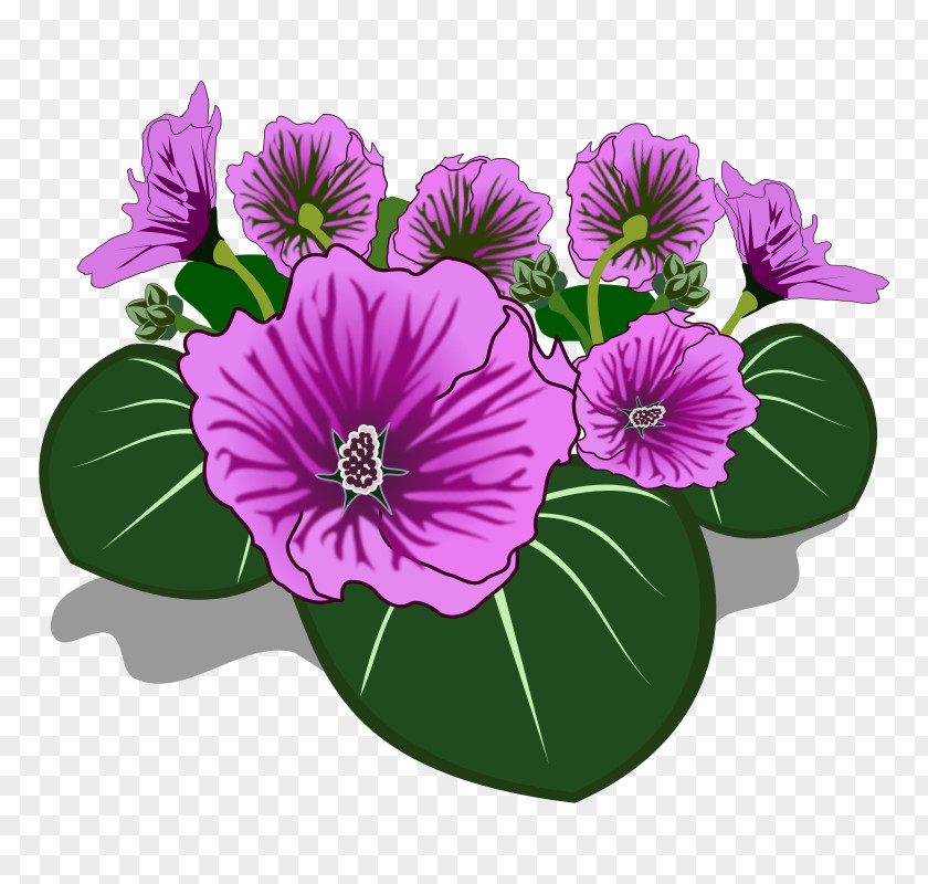 Small Flower Drawing Clip Art PNG
