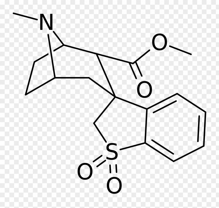 Structural Analog Cocaine Chemistry Benzoyl Group Chemical Compound PNG