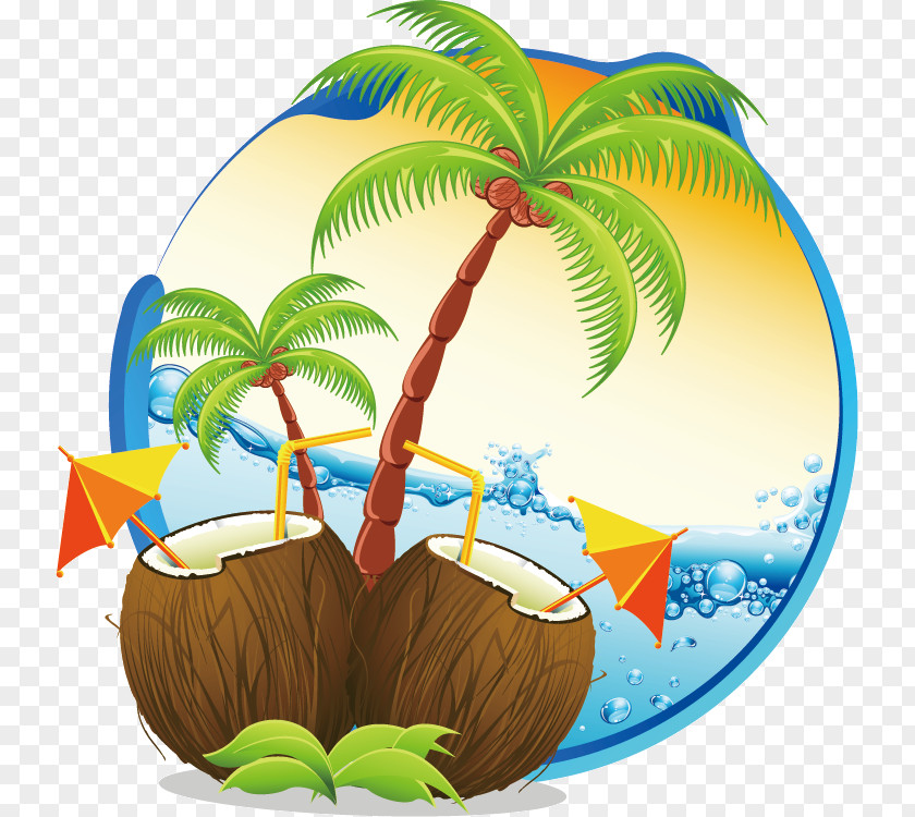 Tourism Cartoon Wallpaper Coconut Water Milk Clip Art Vector Graphics PNG
