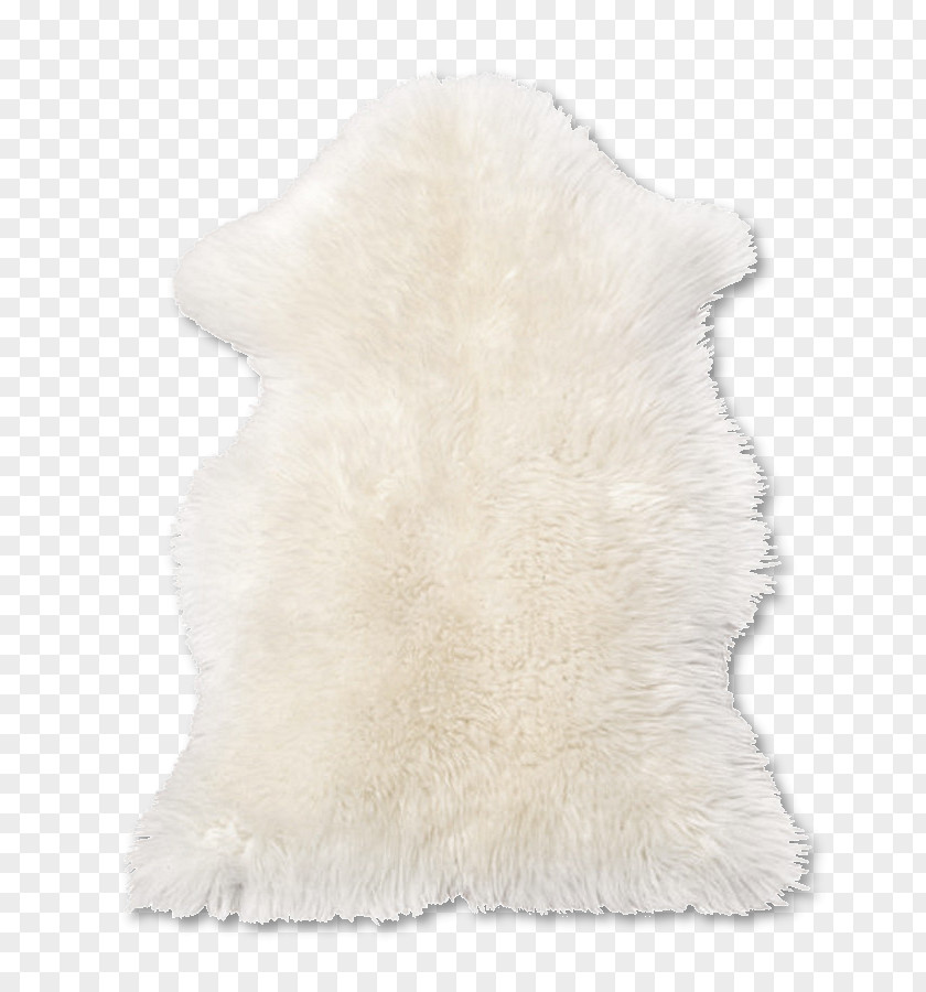 Acc Pattern Fur PNG