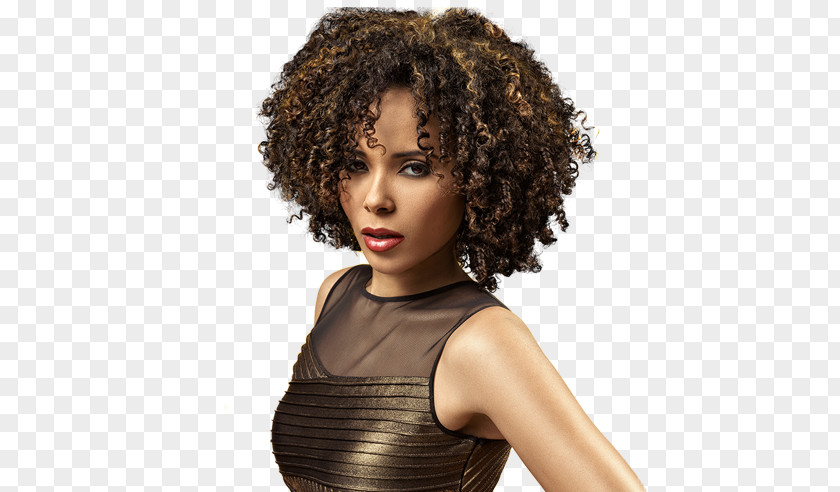 American Theme Brown Hair Black Afro-textured Styling Products PNG