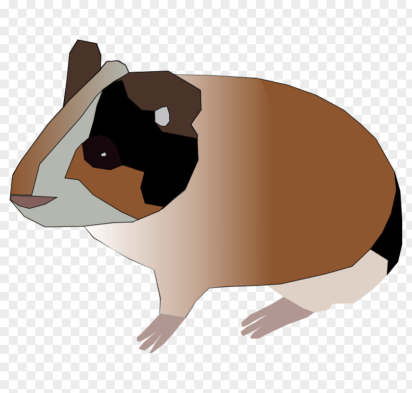 Cartoon Guinea Pig Pictures Rodent Clip Art PNG