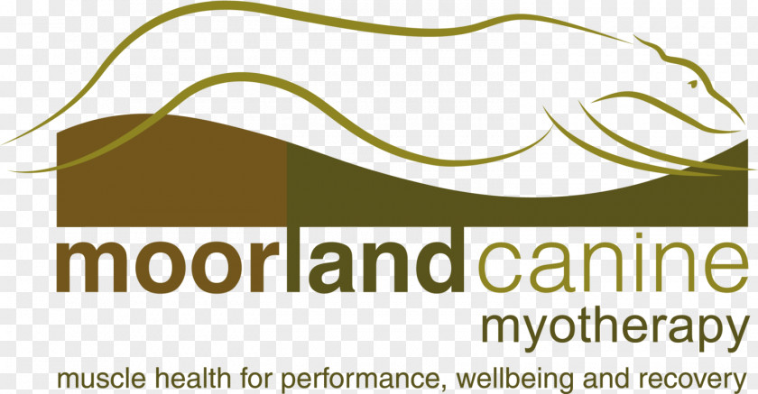 Dog Myotherapy Canidae Pet Food Moorland PNG