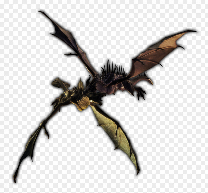 Neck Bloodstain Dragon Ruby Omen Insect Diamond PNG