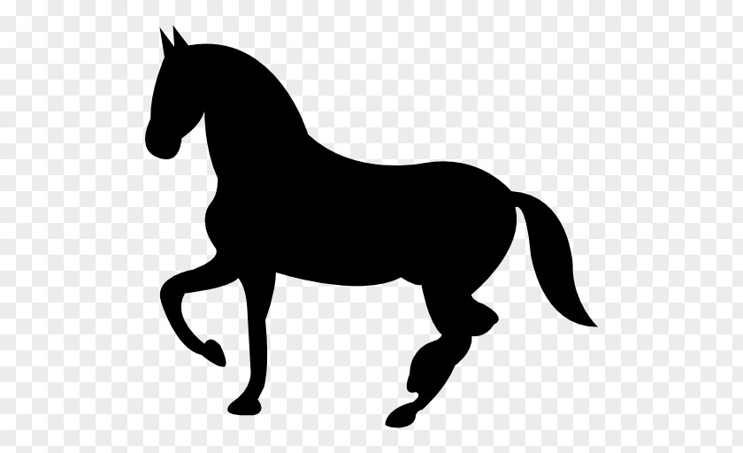 American Quarter Horse Equestrian PNG