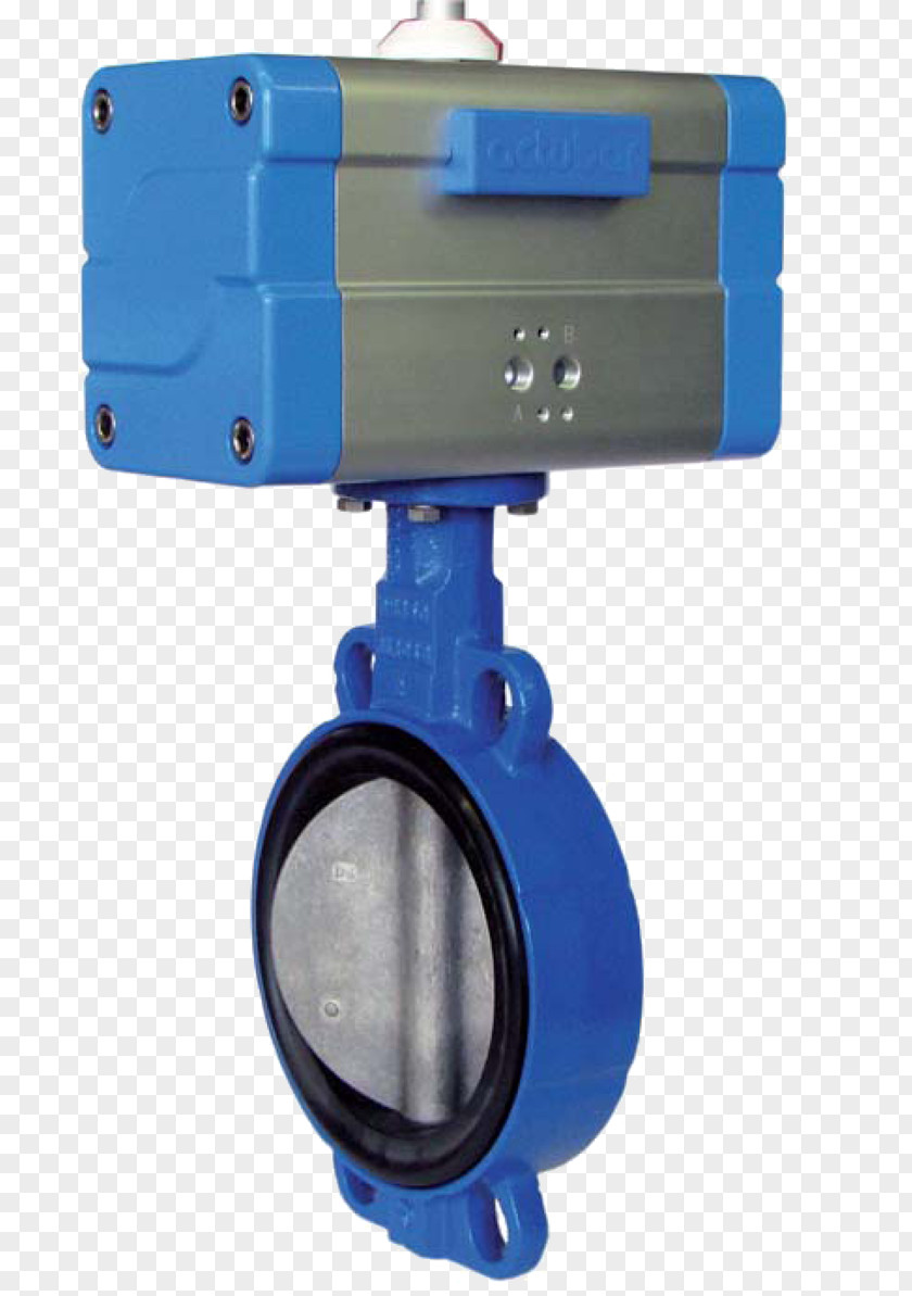 Butterfly Valve Nominal Pipe Size American National Standards Institute EN-standard Japanese Industrial PNG