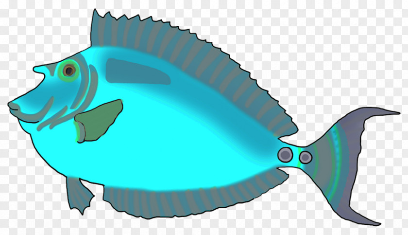 Fish Colourful Fishes Blue-green Drawing Clip Art PNG