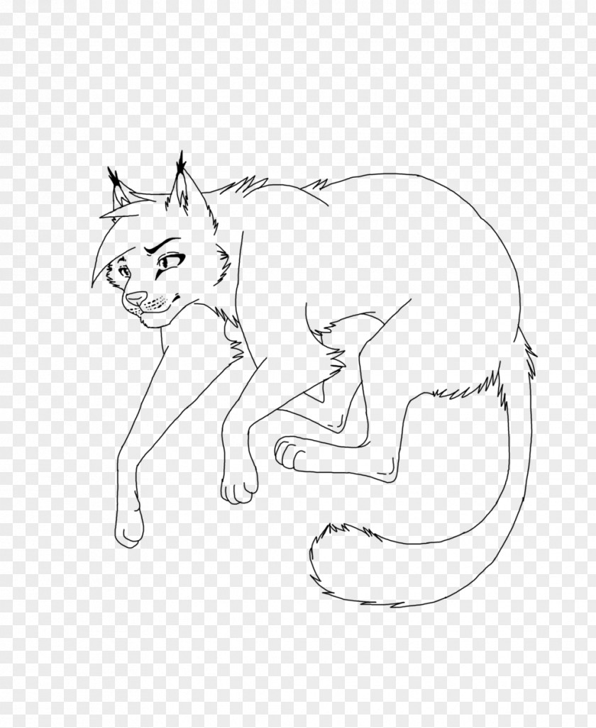 Kitten Whiskers Cat Dog Line Art PNG