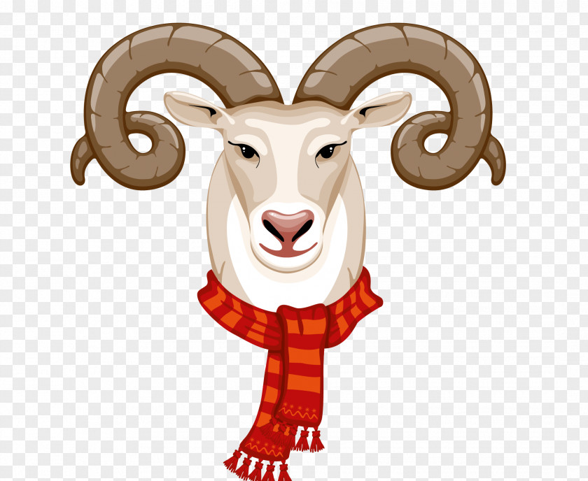 Sheepshead Goat Sheep Illustration PNG