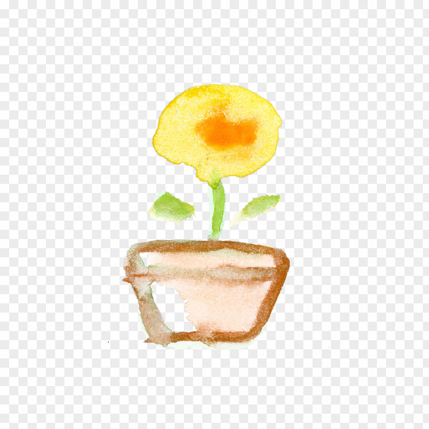 Yellow Flower Plant Egg Yolk PNG
