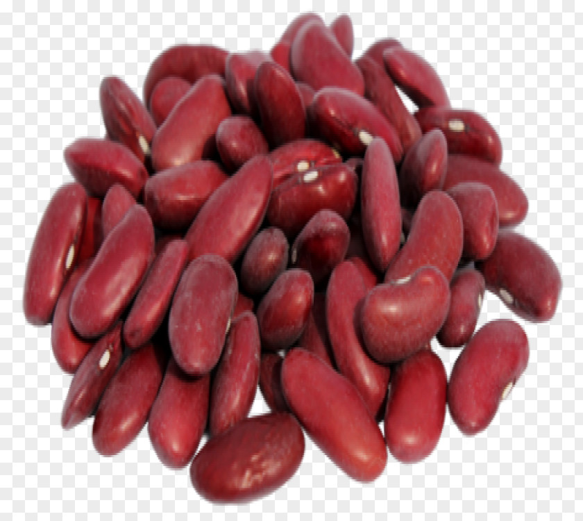 Red Kidney Cranberry Bean Product Legume Trade PNG