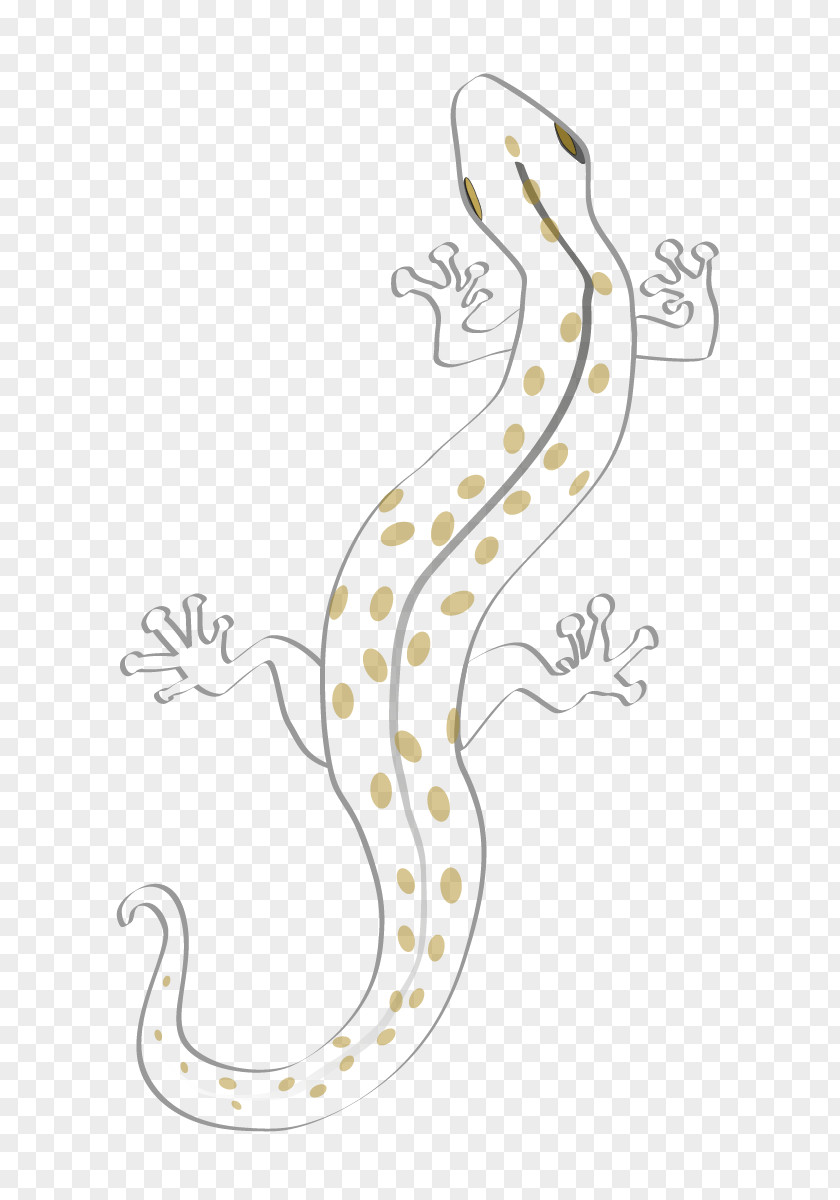 SALÃO Invertebrate Reptile Wildlife Line Art Clip PNG