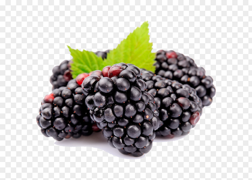 Vegetable Boysenberry Amora Fruit Sorbet Auglis PNG