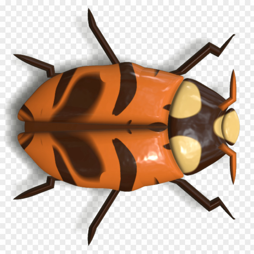 Beetle Ladybird Animal PNG