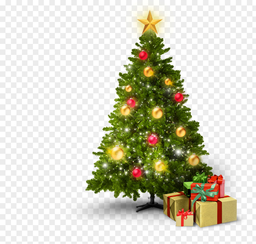 Christmas Tree Värmekabelspecialisten VKS AB Card Ornament PNG