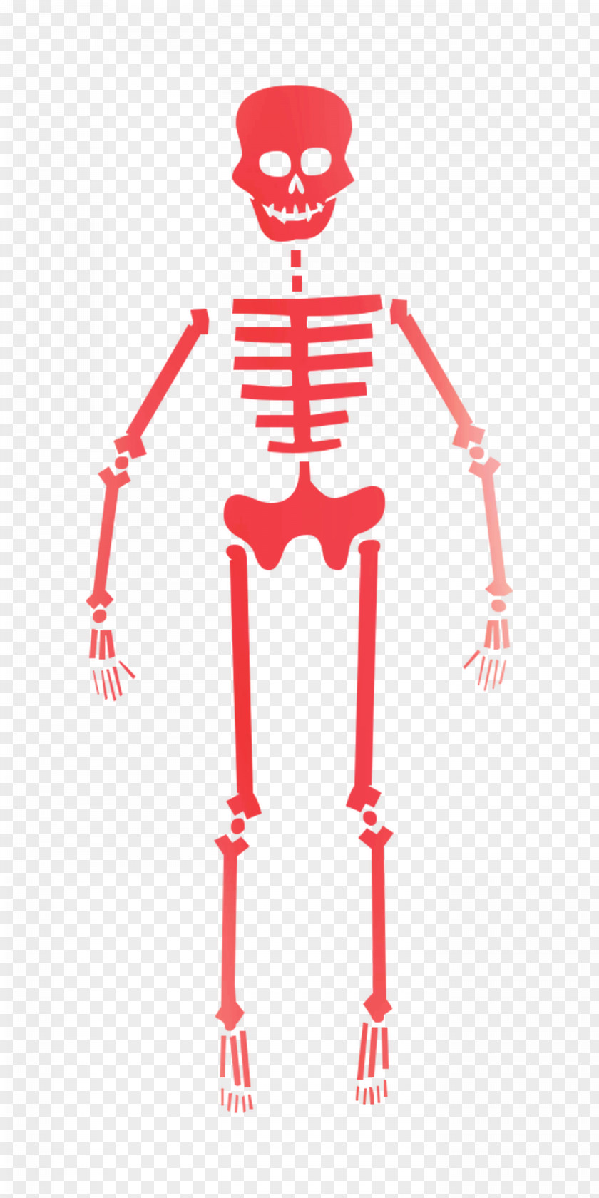 Clip Art Vector Graphics Drawing Skeleton Image PNG