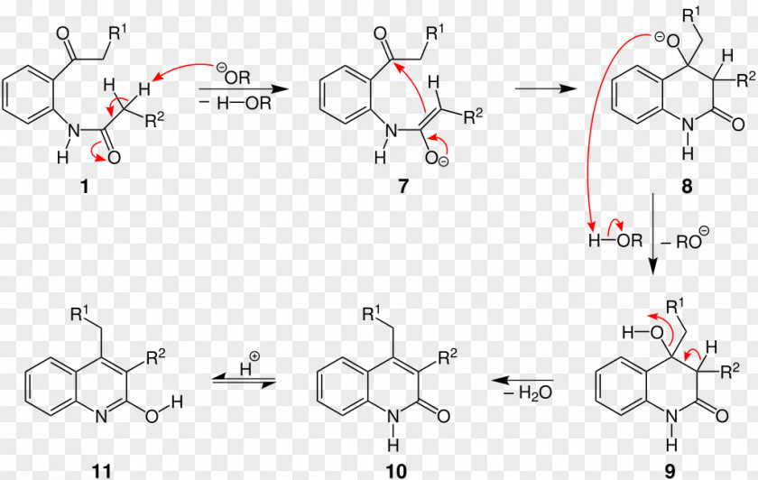 Creative Chin Camps Quinoline Synthesis Favorskii Rearrangement Friedländer Combes Reaction PNG