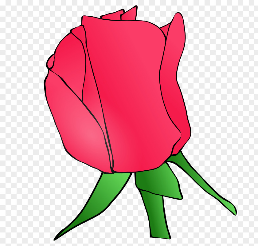 Flower Red Rose Bud Clip Art PNG