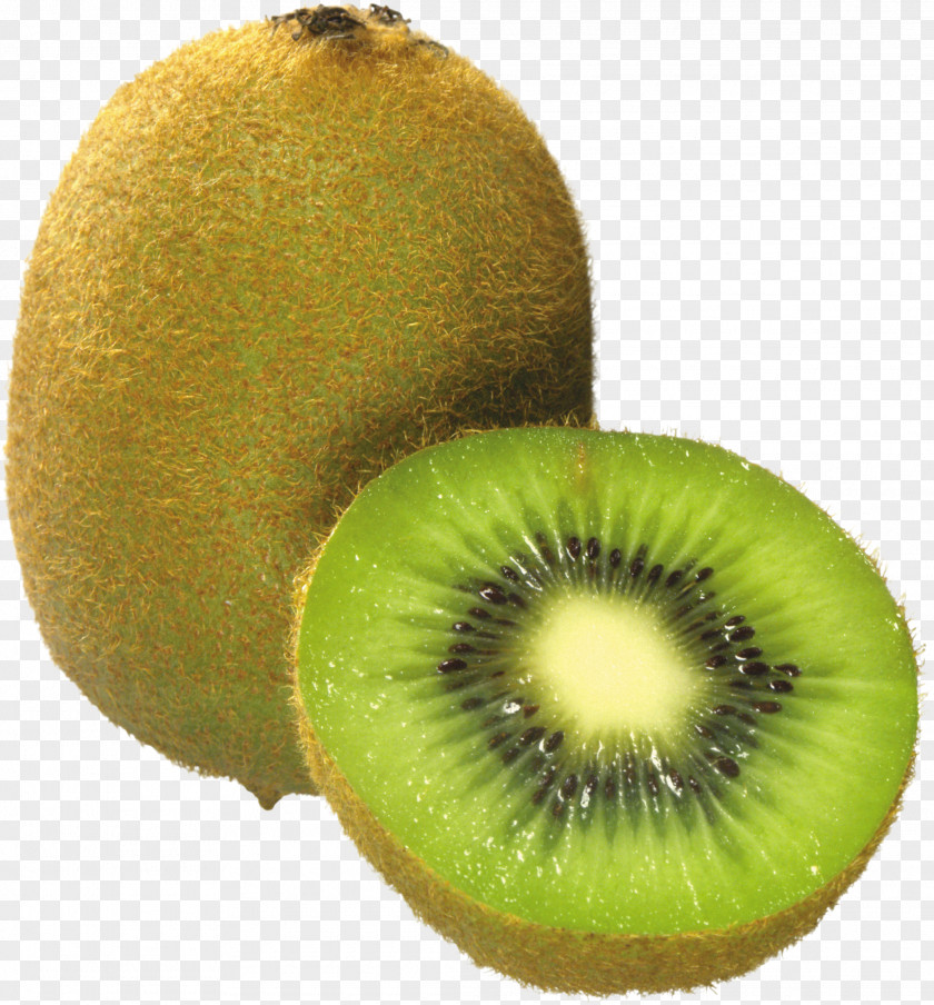 Kiwi Slice Clip Art Kiwifruit Download PNG