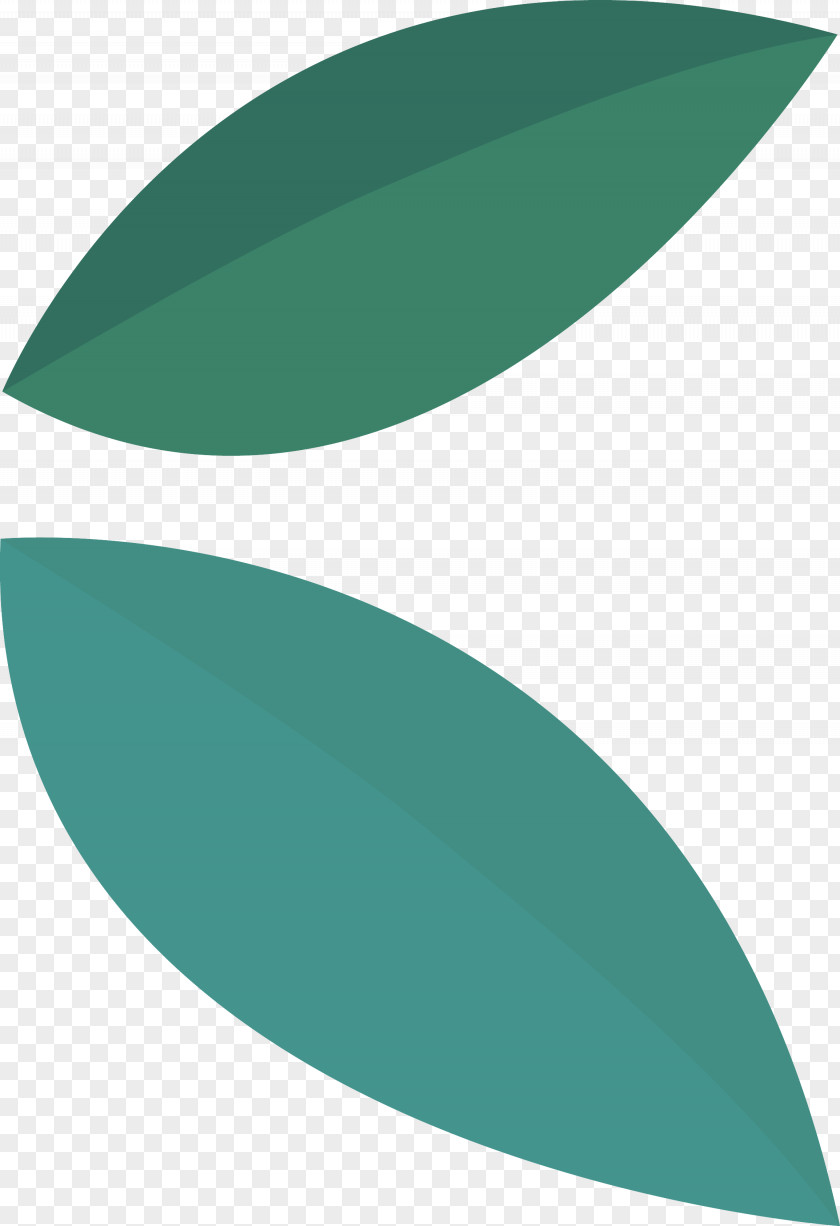 Leaf Green Angle Meter Plant Structure PNG