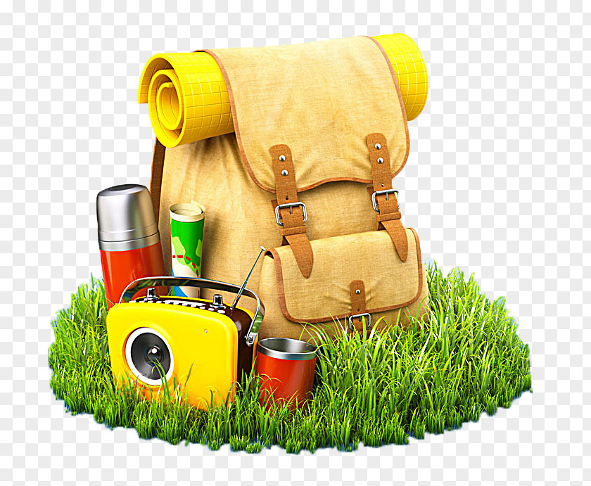 Travel Bag On The Grass Backpack Suitcase Stock Photography PNG