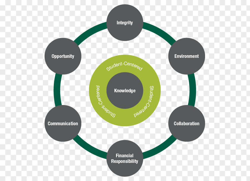 Values Robotic Process Automation Liver Function Tests Marketing Polycystic Disease PNG