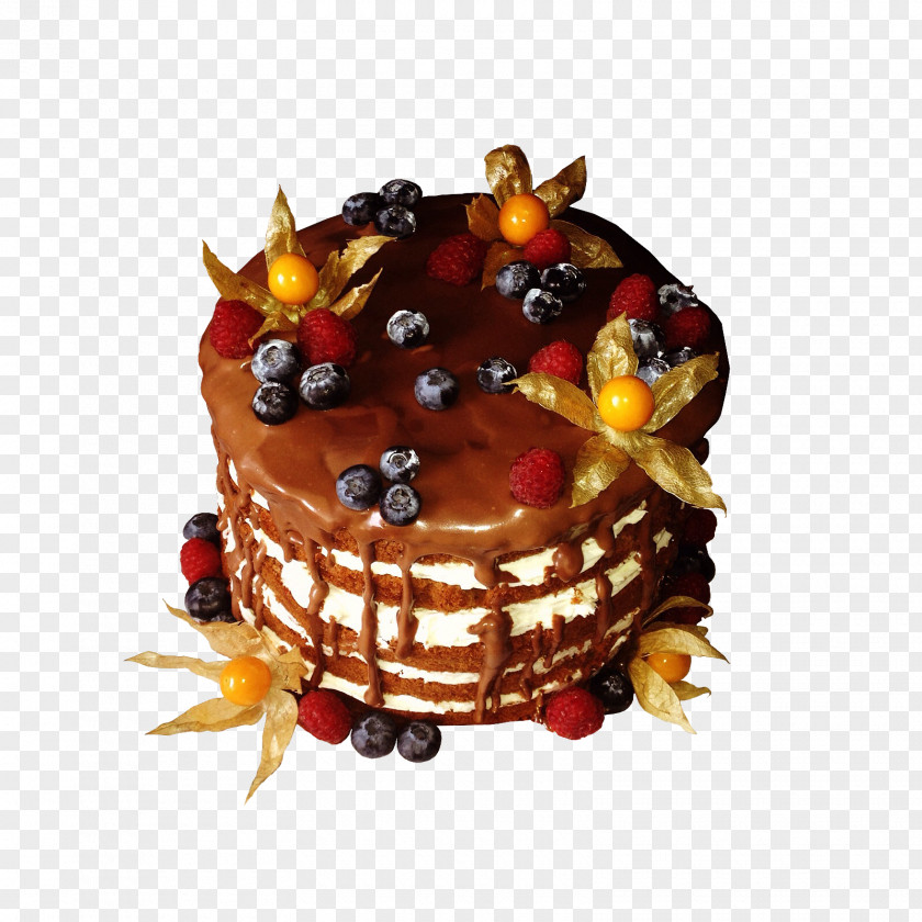 Cakes Chocolate Cake Fruitcake Torte Dessert PNG