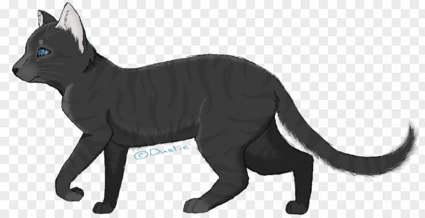 Cat Whiskers Drawing Crowfeather PNG