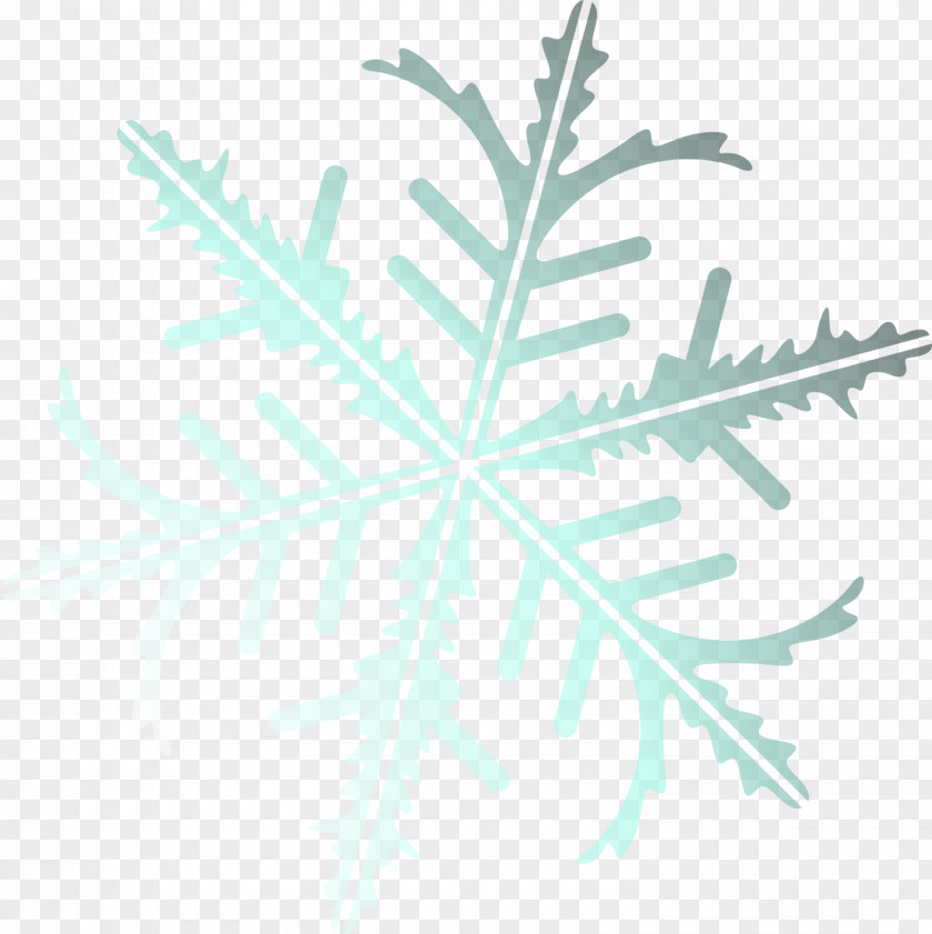 Christmas Snowflake Design Image Adobe Photoshop PNG