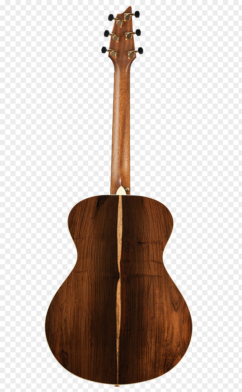 Electric Guitar Acousticelectric PNG