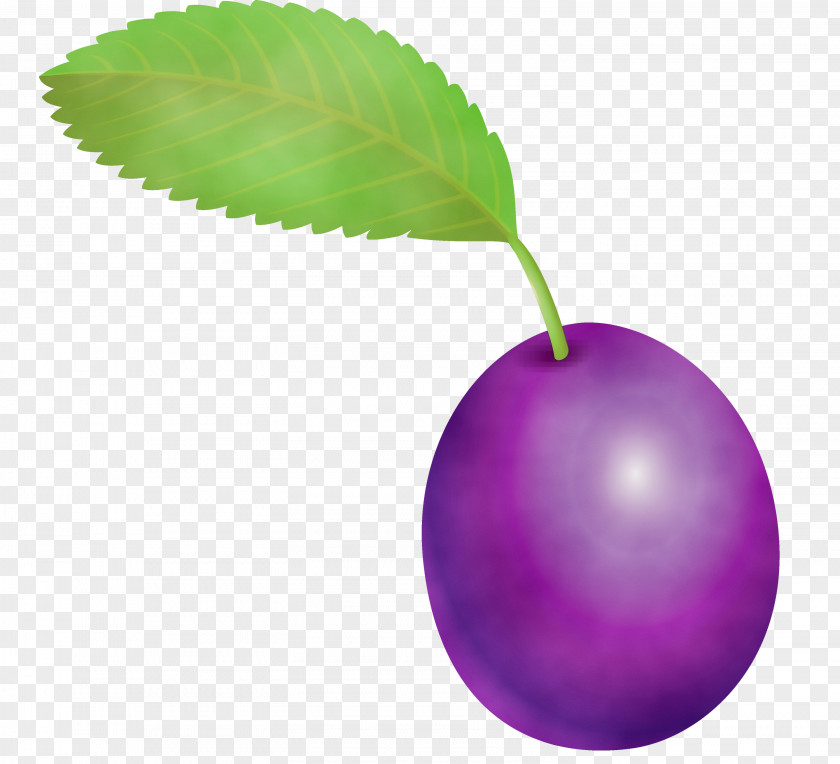 European Plum Leaf Violet Fruit Purple PNG