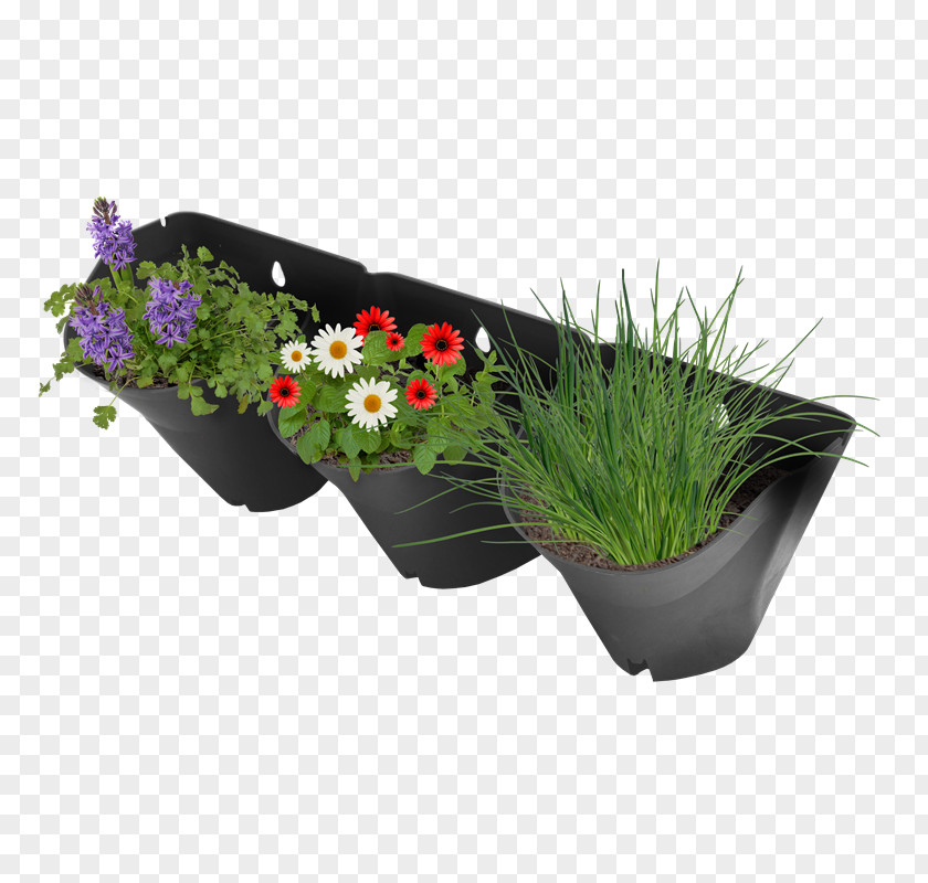 Flower Plastic Flowerpot Garden Lawn PNG