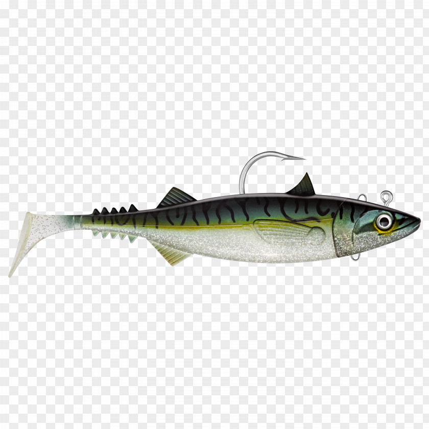 Mackerel Atlantic Fish Cod Herring PNG