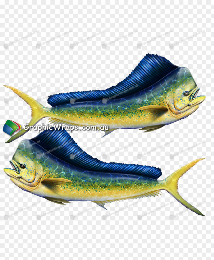 Shirt Ideas Sardine Shoe PNG