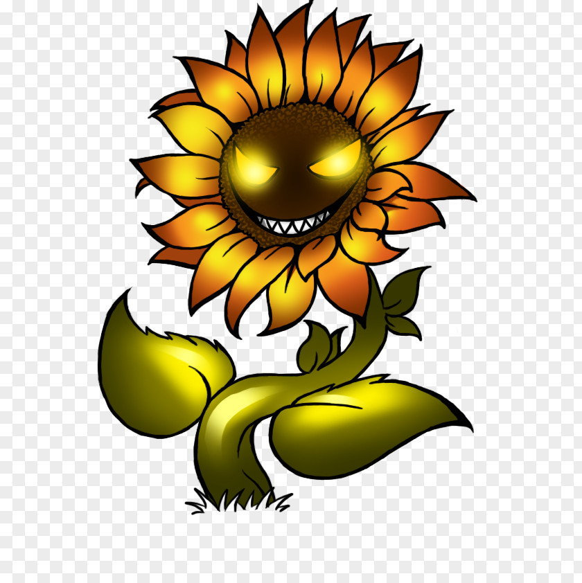 Sunflower Graphics Common Seed Clip Art PNG