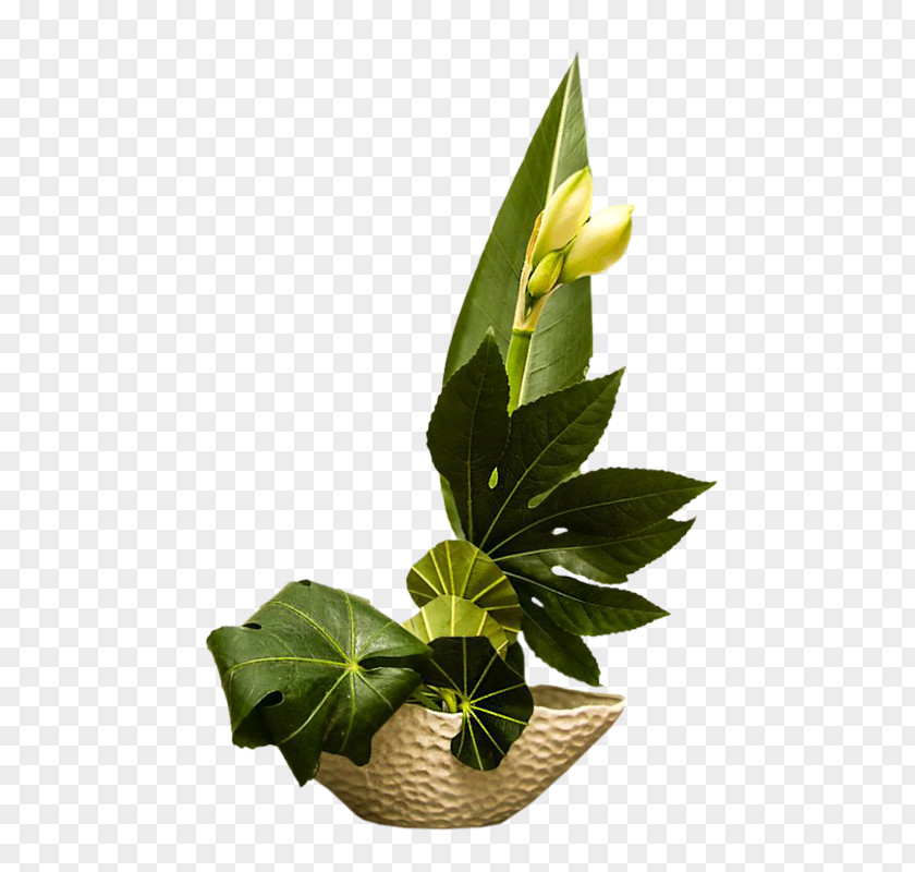 Zen Garden Floral Design Birthday Flowerpot Daytime PNG