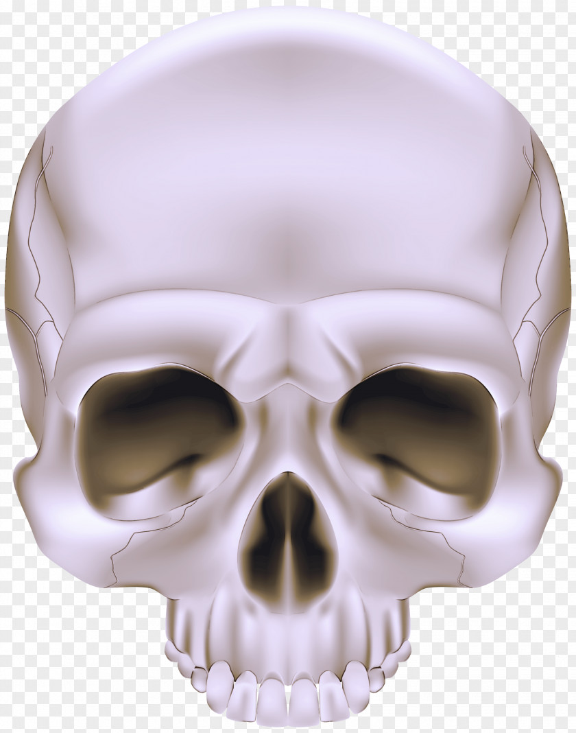 Bone Skull Face Head Jaw PNG
