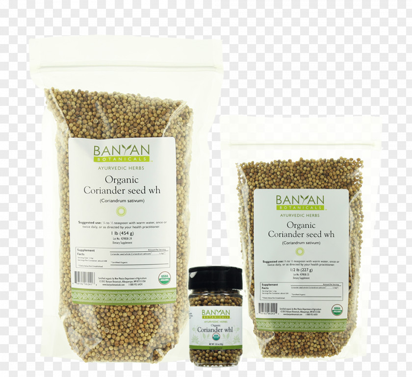 Coriander Powder Seed Food Spice Basil PNG