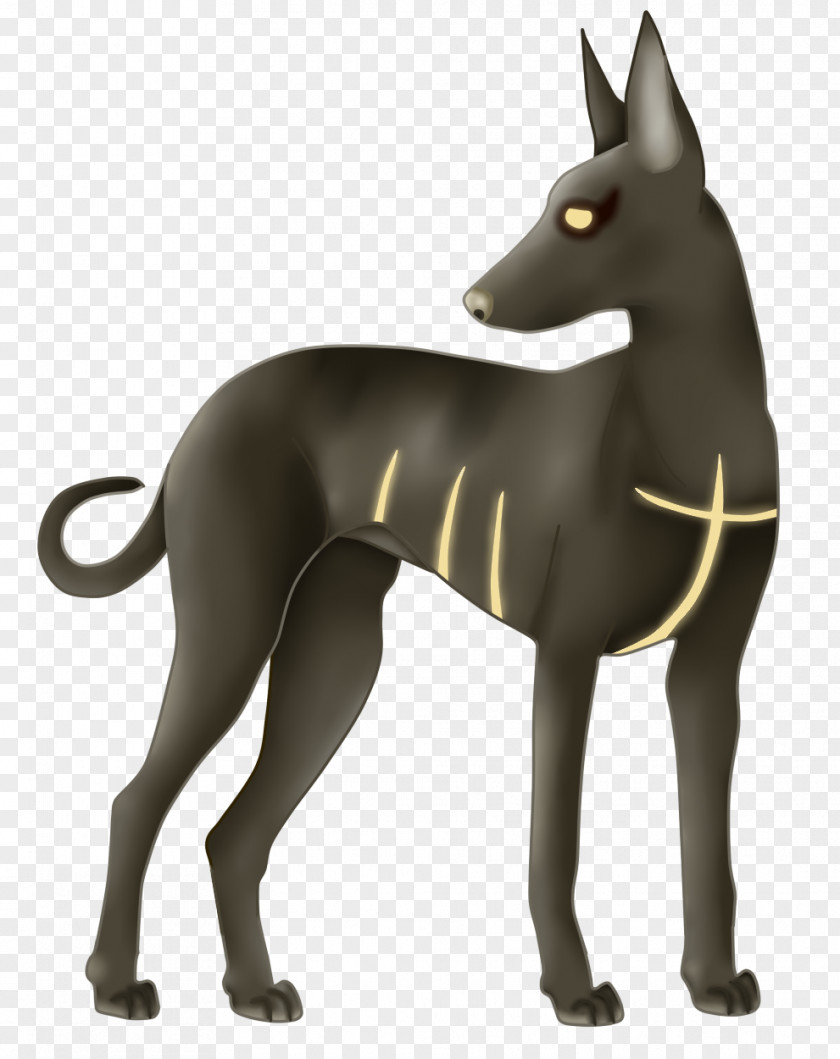 Dog Breed Italian Greyhound Art Snout PNG