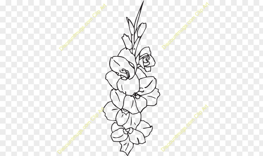 Gladiolus Flower Drawing Clip Art PNG