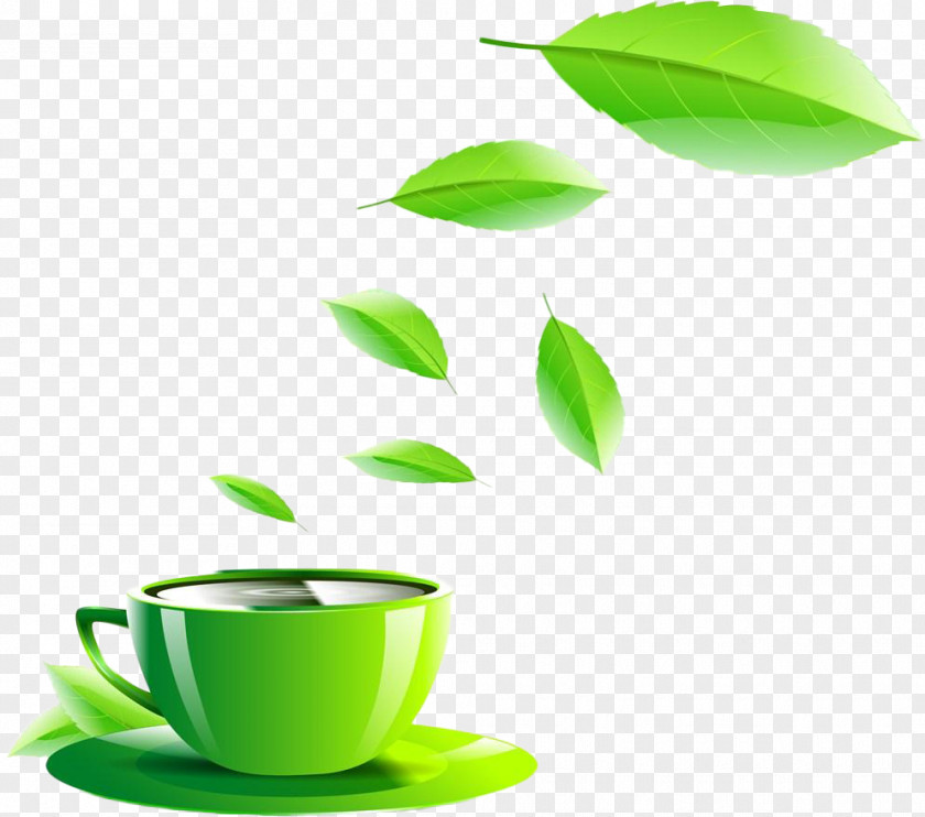 Green Tea Coffee Cup PNG
