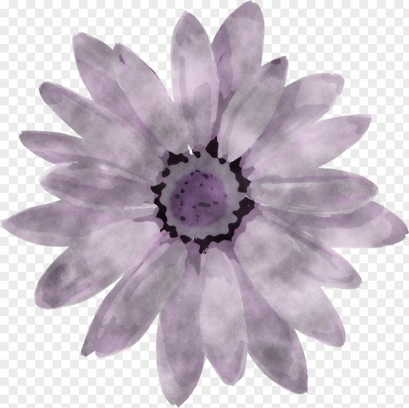 Lavender PNG