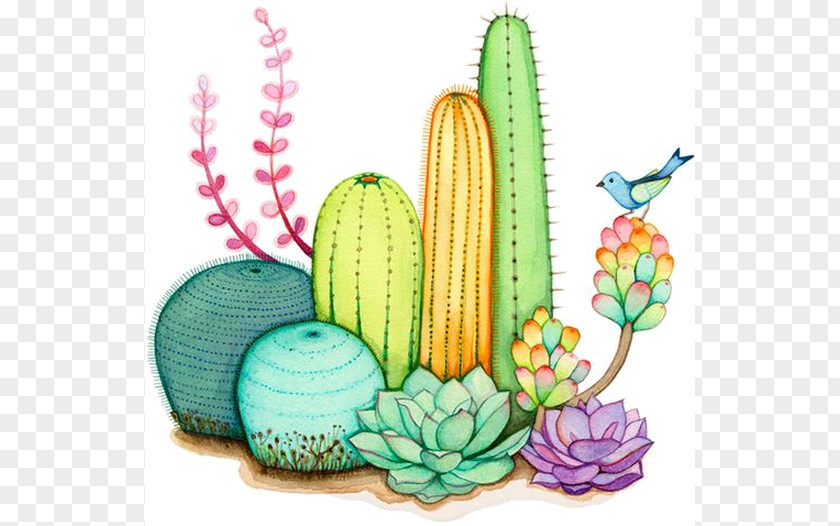 Painting Cactus And Succulents Watercolor Cactaceae Succulent Plant PNG