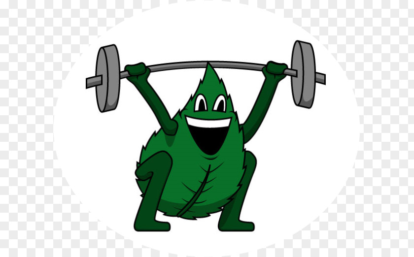 Strength And Conditioning Wallpaper Amphibians Blog Clip Art Logo Product PNG