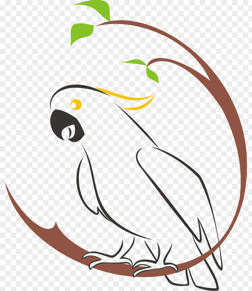 Tempalte Vector Cockatoo Logo Clip Art PNG