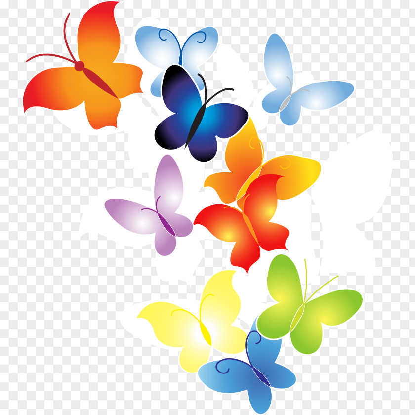 Butterfly Vector Graphics Illustration Image Clip Art PNG