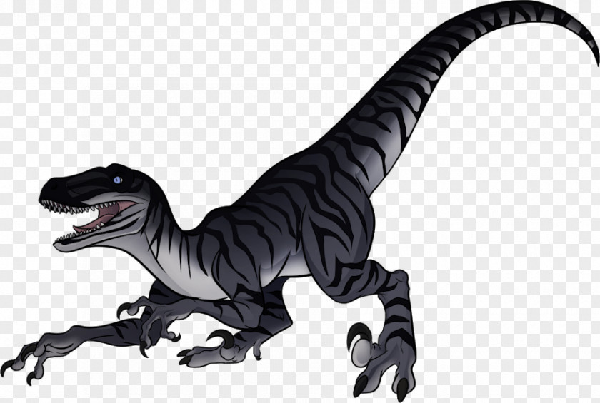 Dinosaur Velociraptor Tyrannosaurus Finding Out About Dinosaurs Brachiosaurus PNG